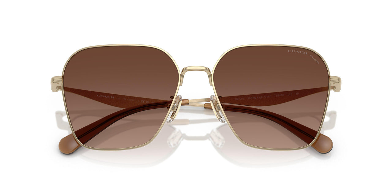 9005T5 - Gold - Brown Gradient Polar
