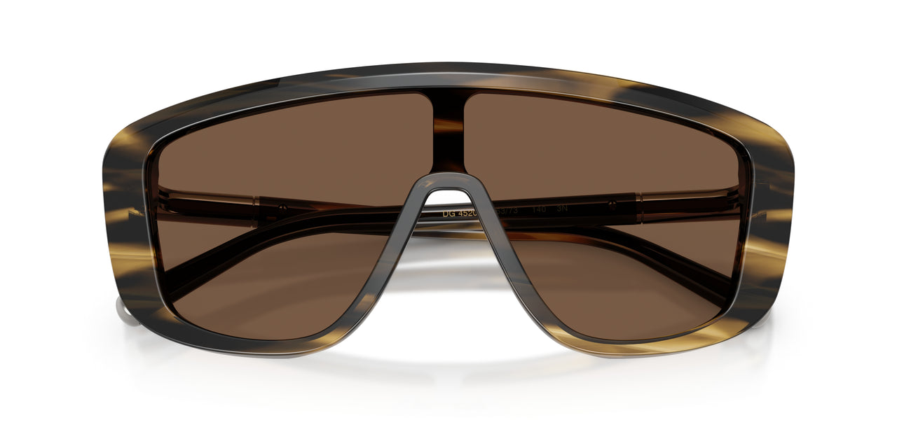 306373 - Tortoise - Brown