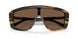 306373 - Tortoise - Brown