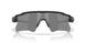 954102 - Black - Prizm Black Polarized