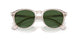 611771 - Brown - Bottle Green