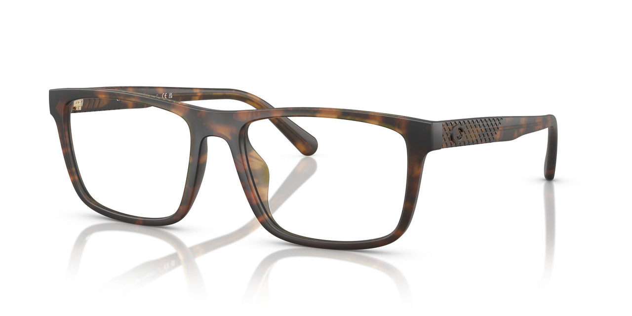 5120 - Tortoise