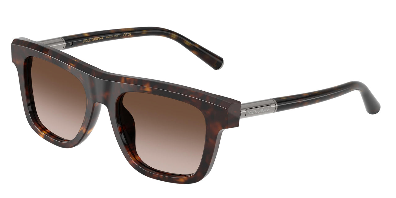 502/13 - Tortoise - Gradient Brown