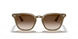 616613 - Light Brown - Brown Gradient