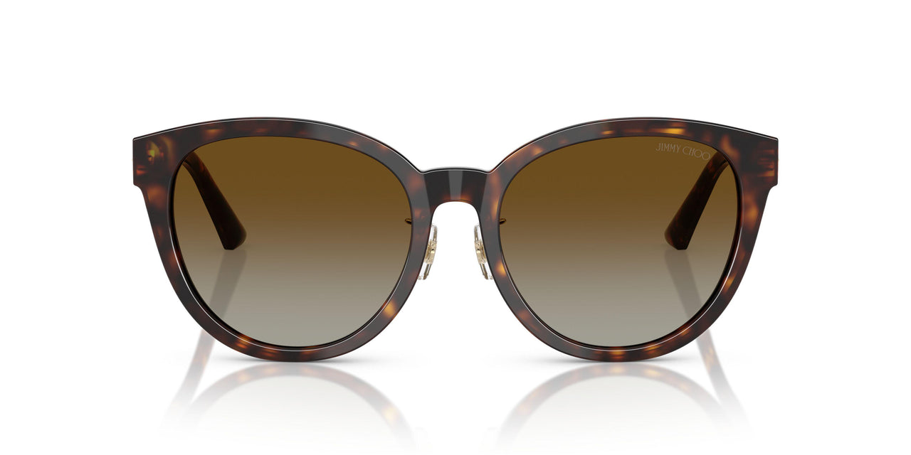 5002T5 - Tortoise - Brown Gradient Polar