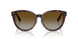 5002T5 - Tortoise - Brown Gradient Polar