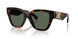 300271 - Brown - Dark Green