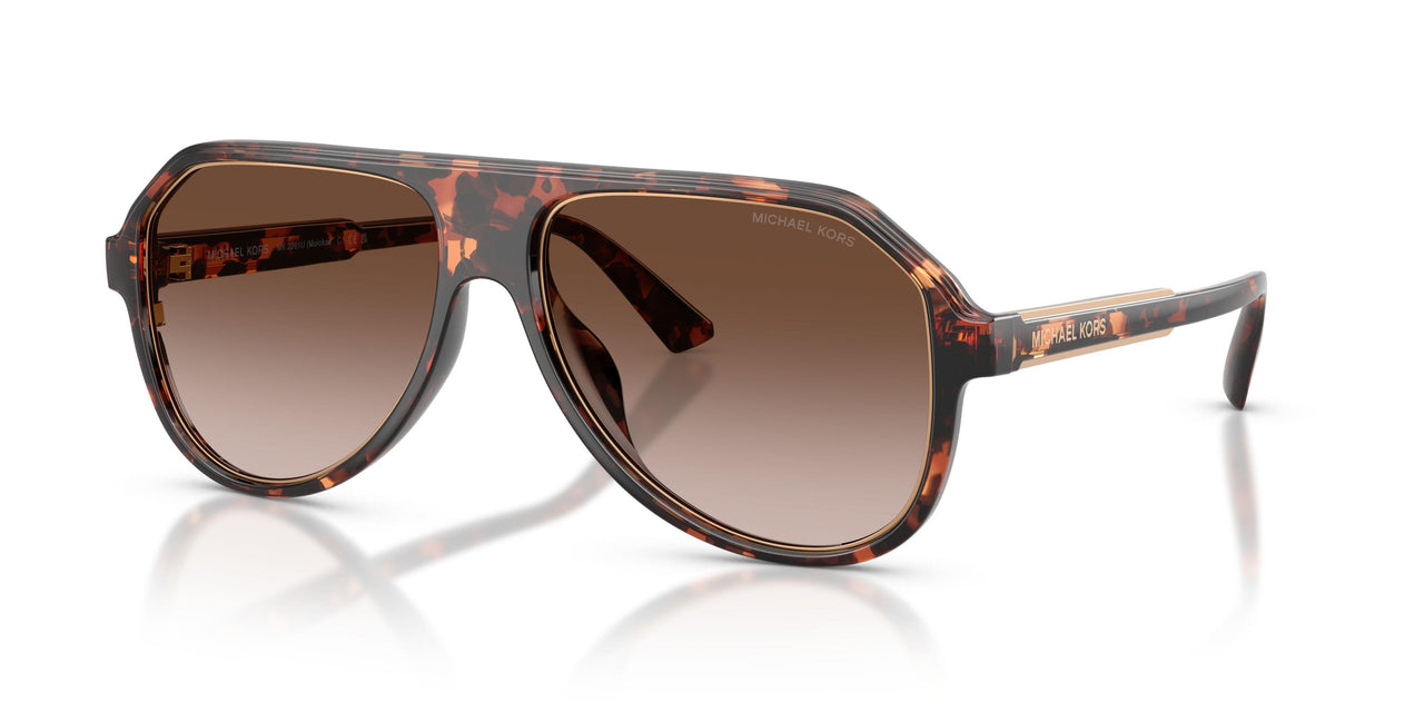 300613 - Tortoise - Smoke Gradient