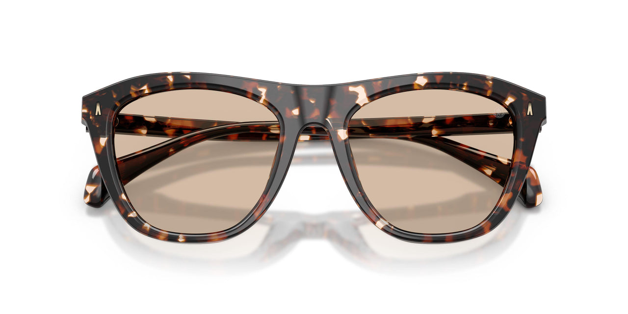 304893 - Tortoise - Solid Light Brown