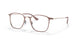 2973 - Light Brown