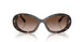 172813 - Tortoise - Brown Gradient