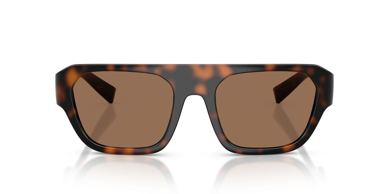 502/73 - Tortoise - Dark Brown