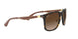 894/13 - Havana - Brown Gradient Dark Brown