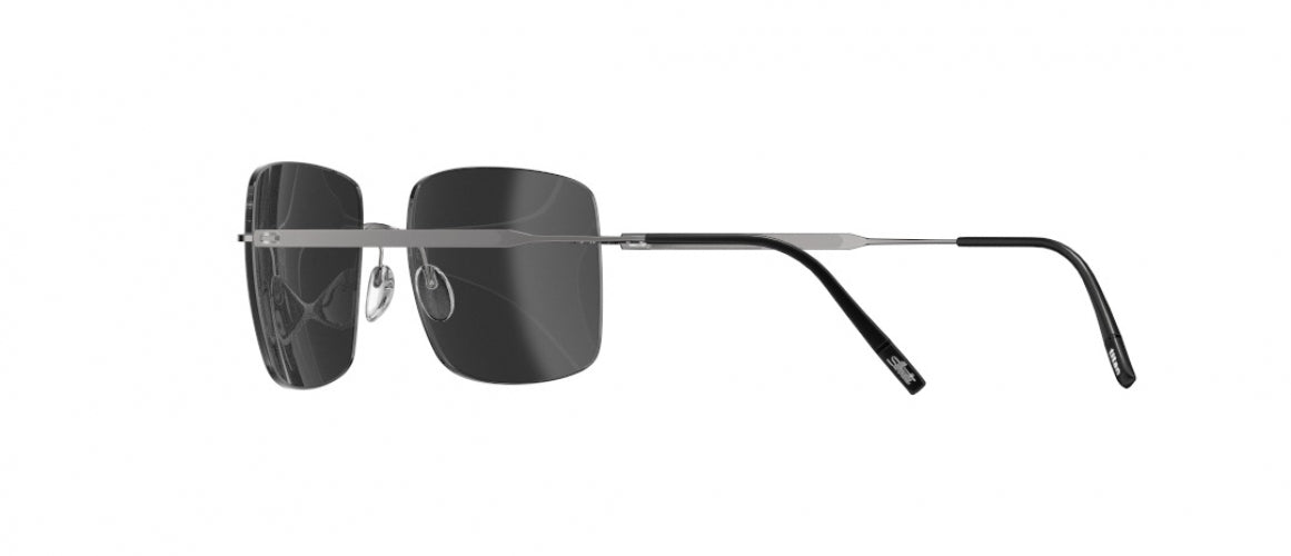 6560 - Ruthenium Black - SLM POL Grey