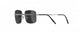 6560 - Ruthenium Black - SLM POL Grey