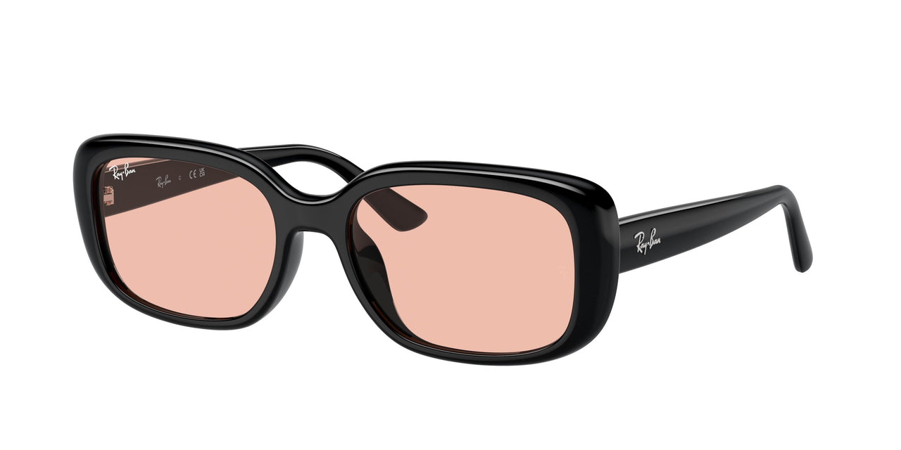 Ray-Ban 4421D Sunglasses