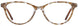 Cote DAzur CDA287 Eyeglasses