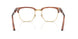 96 - Brown
