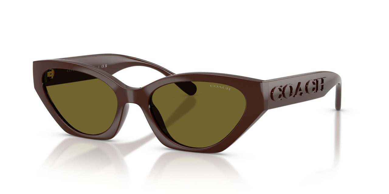 Coach Cft83 8459U Sunglasses