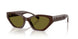 Coach Cft83 8459U Sunglasses