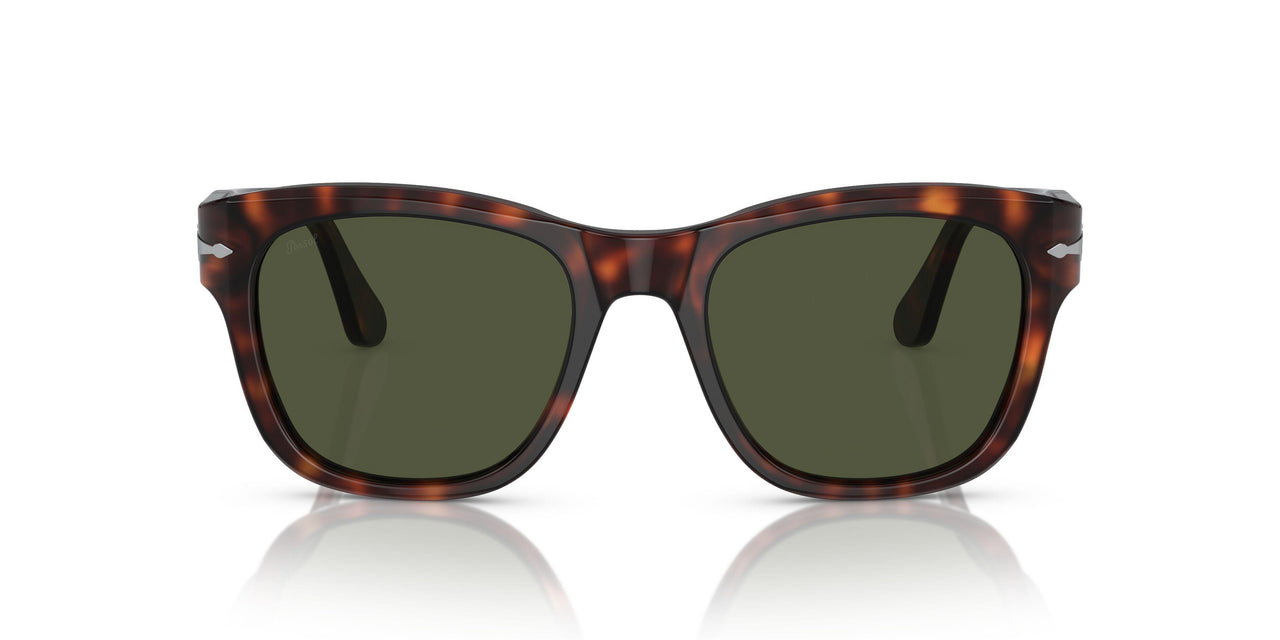 24/31 - Tortoise - Green