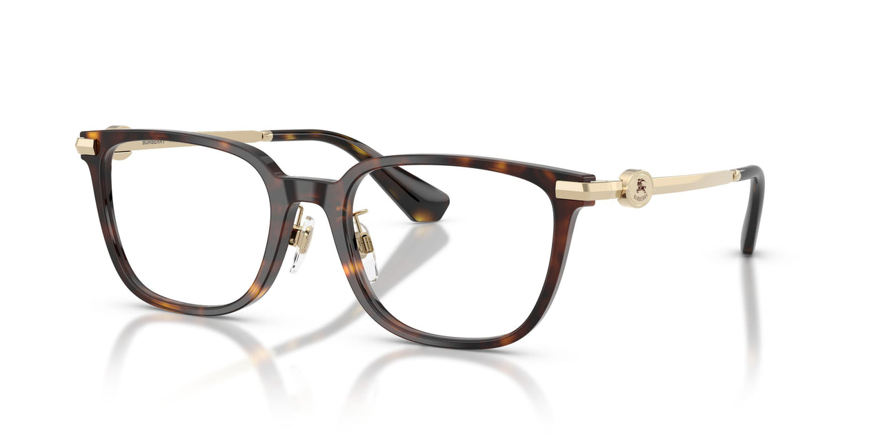 3002 - Brown