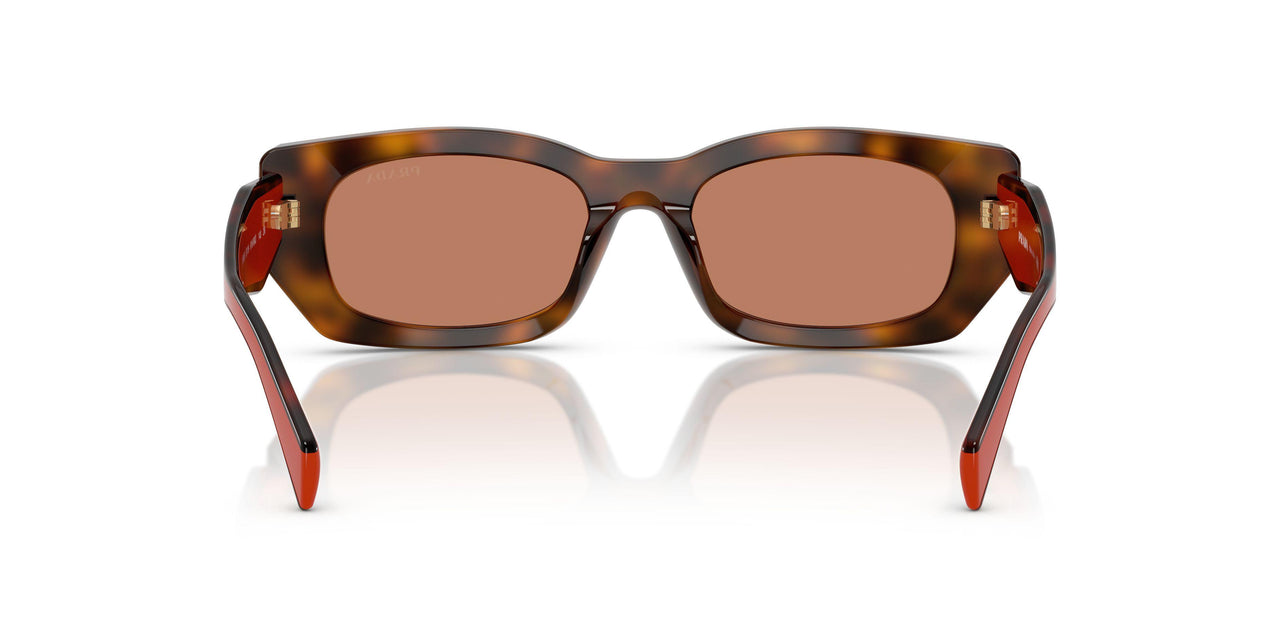 01K90Q - Tortoise - Brown