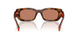 01K90Q - Tortoise - Brown