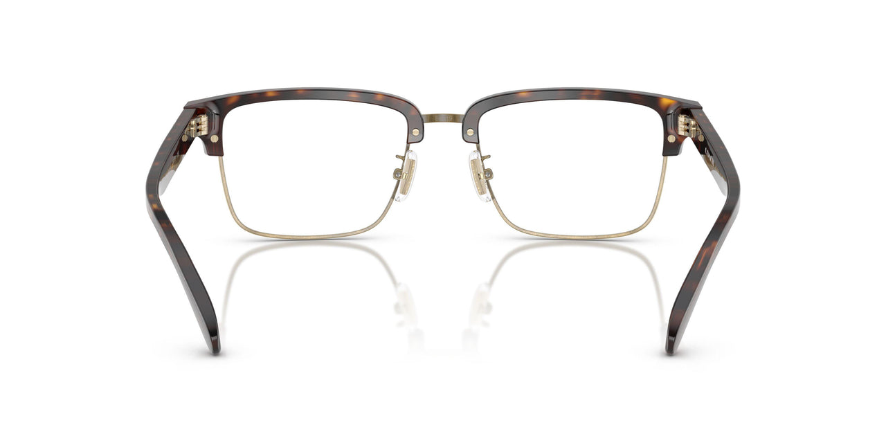 5120 - Tortoise