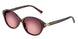 84218H - Brown - Pink/violet