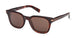 ZEGNA 0238 Sunglasses