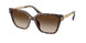 Michael Kors Piedmont 2263U Sunglasses
