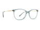 Rip Curl RC2107 Eyeglasses