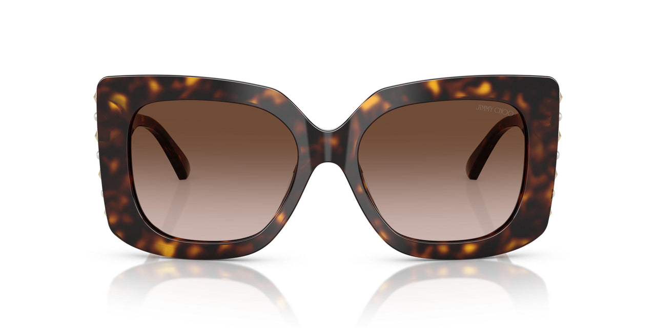 500213 - Tortoise - Gradient Brown