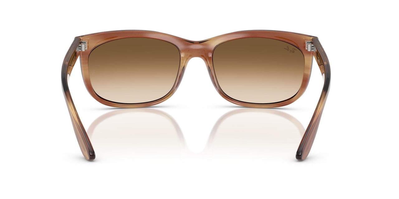 140351 - Tortoise - Clear Gradient Brown