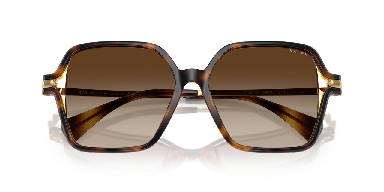 500313 - Tortoise - Gradient Brown