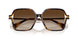 500313 - Tortoise - Gradient Brown