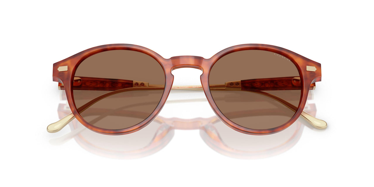577473 - Tortoise - Brown Solid
