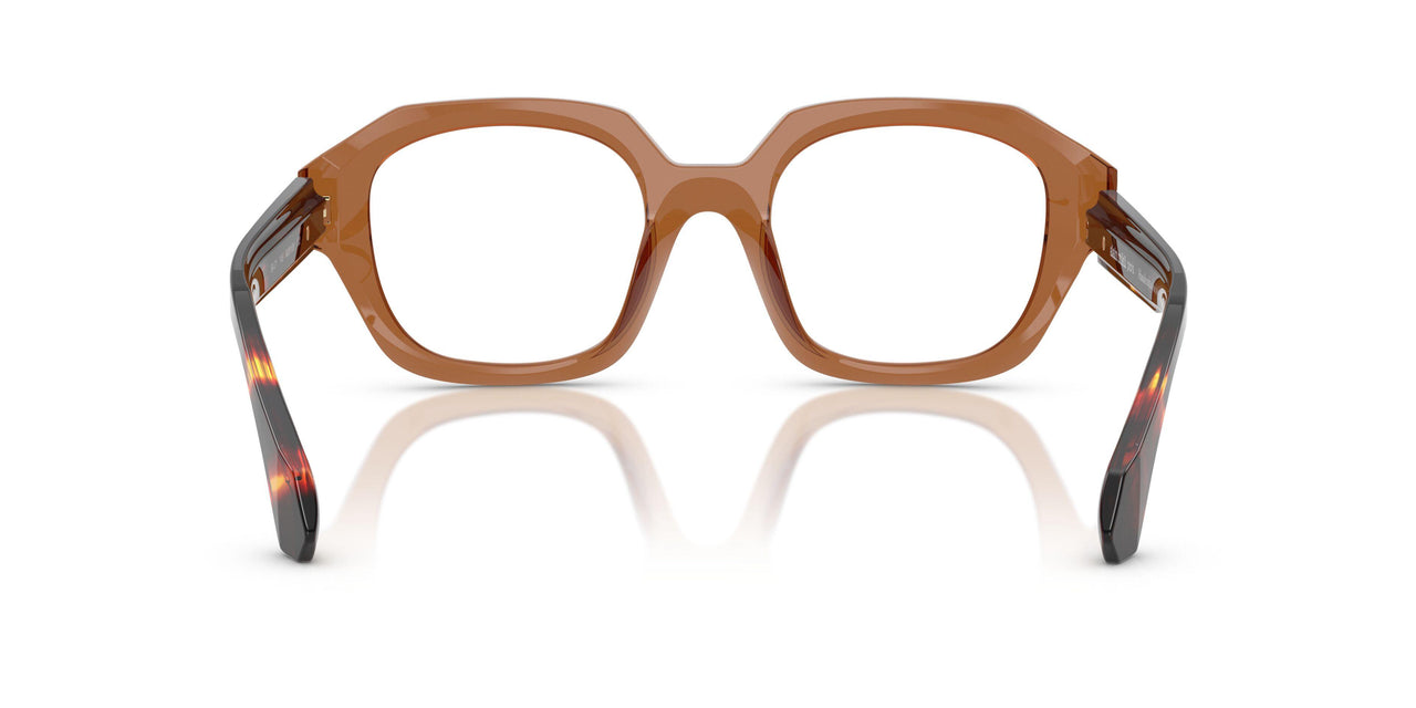 002 - Brown