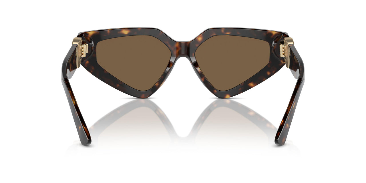 502/73 - Tortoise - Dark Brown