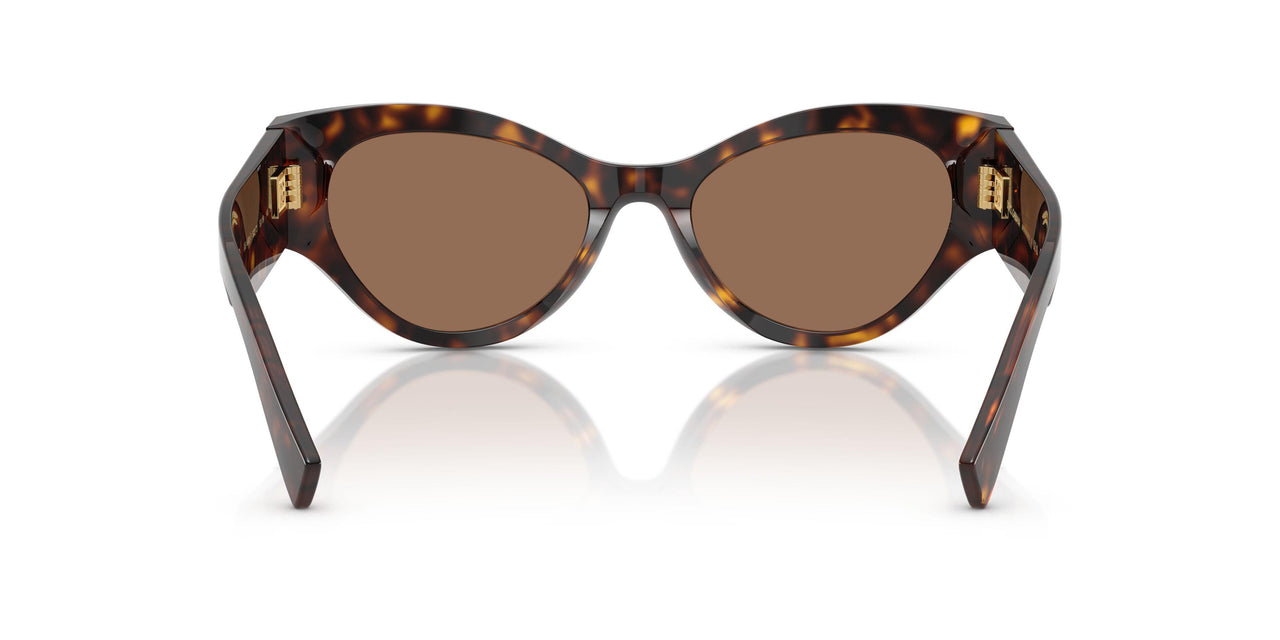 502/73 - Tortoise - Dark Brown