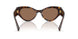 502/73 - Tortoise - Dark Brown