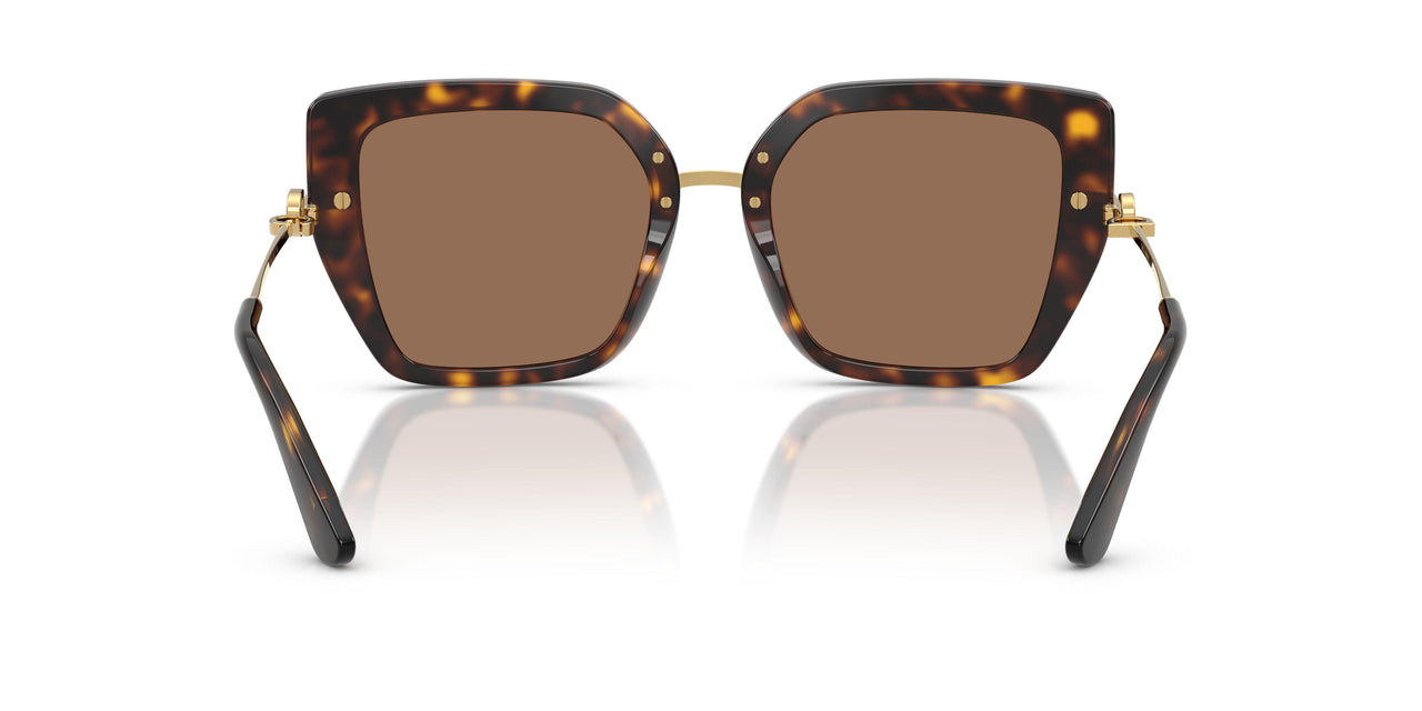 502/73 - Tortoise - Dark Brown