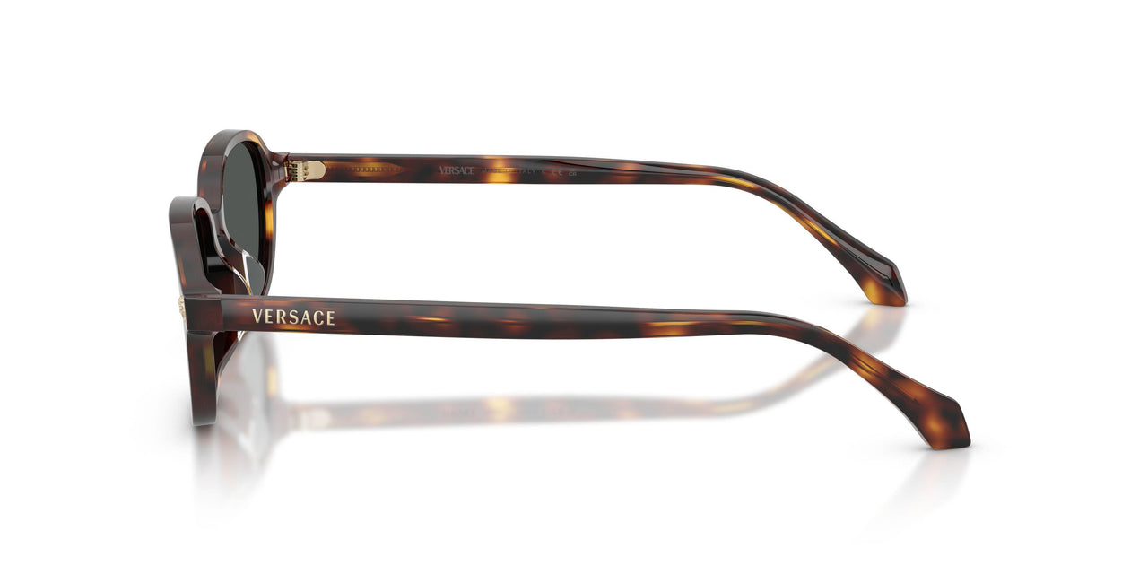 553773 - Tortoise - Dark Brown