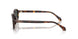 553773 - Tortoise - Dark Brown