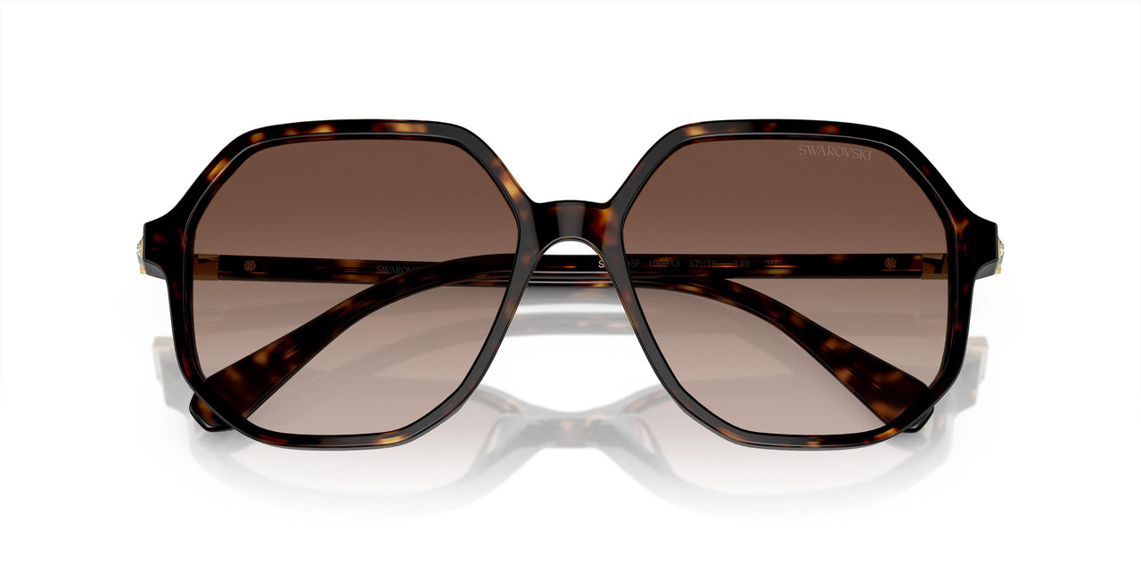 100213 - Tortoise - Brown Gradient