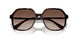 100213 - Tortoise - Brown Gradient