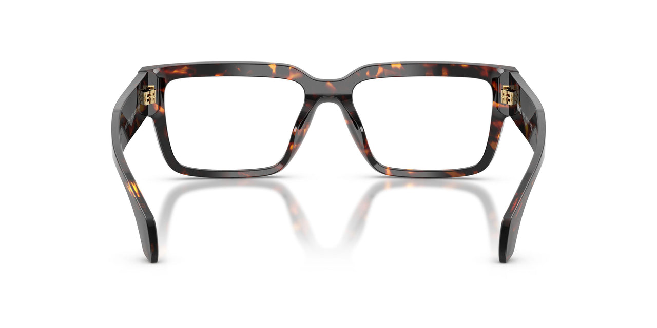 5509 - Tortoise