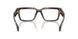 5509 - Tortoise