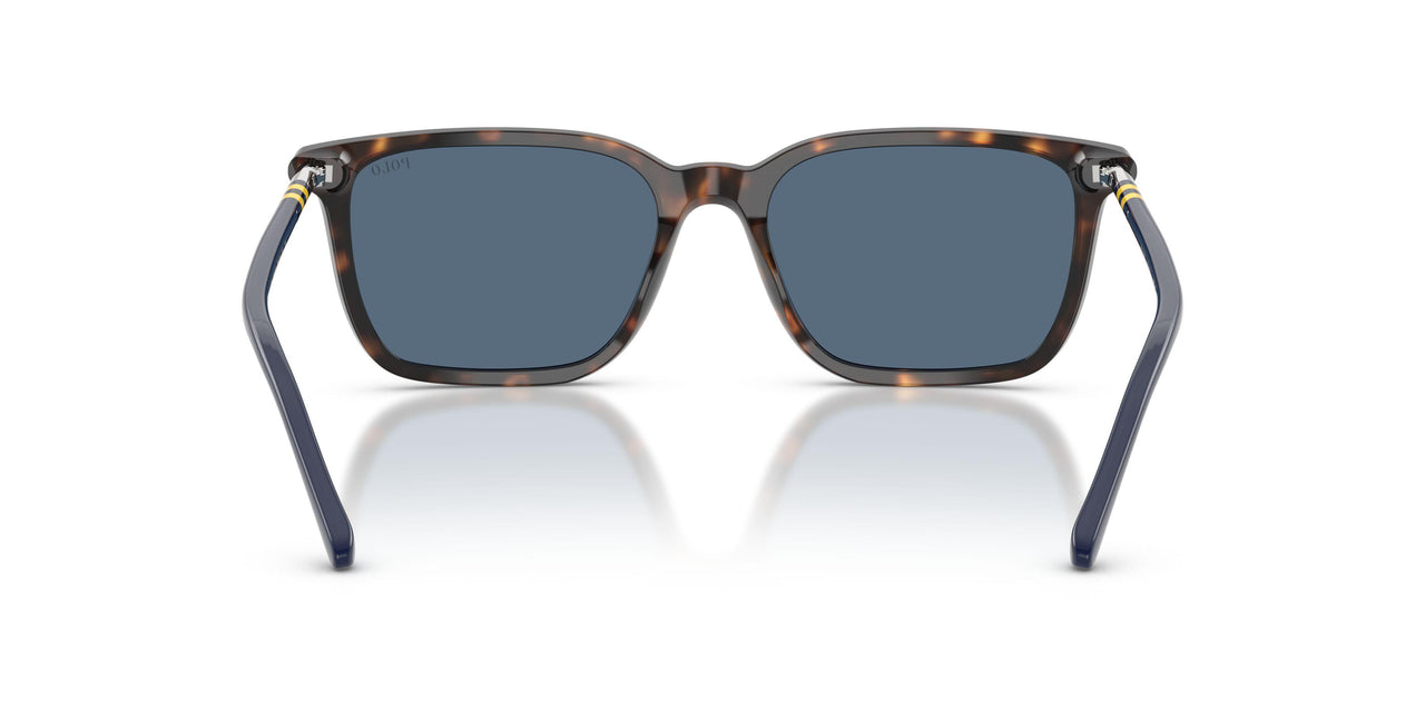 500380 - Tortoise - Dark Blue